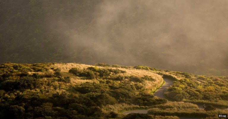 Ekonomik Analizin Temelleri