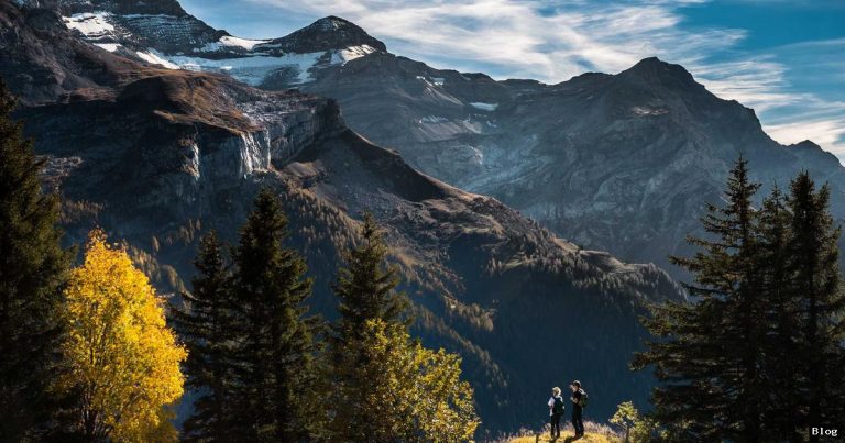 Kadın Çalışma Gücü ve Ekonomik Katılım