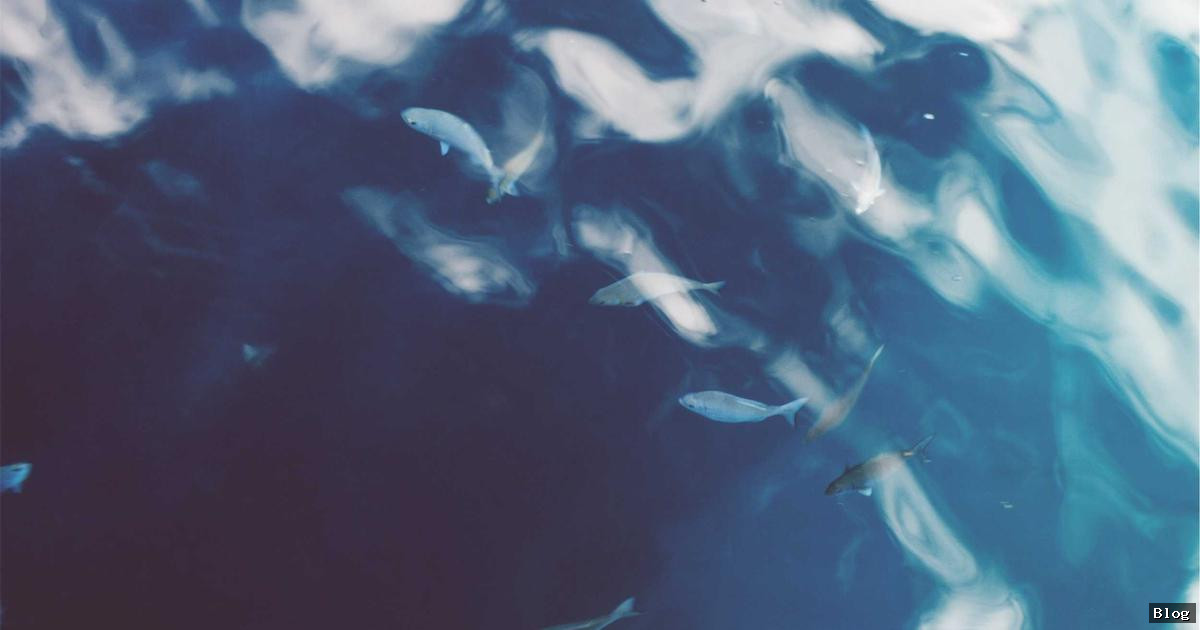 ekonomi haberleri son dakika