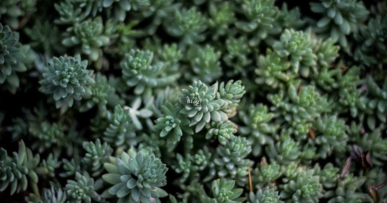 Sağlık News: Yenilikler ve Gelişmeler