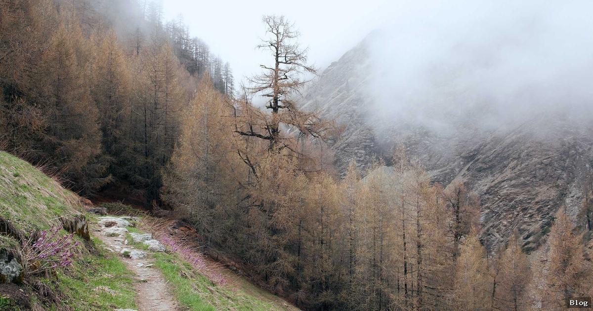 Ekonomi gelişmeleri