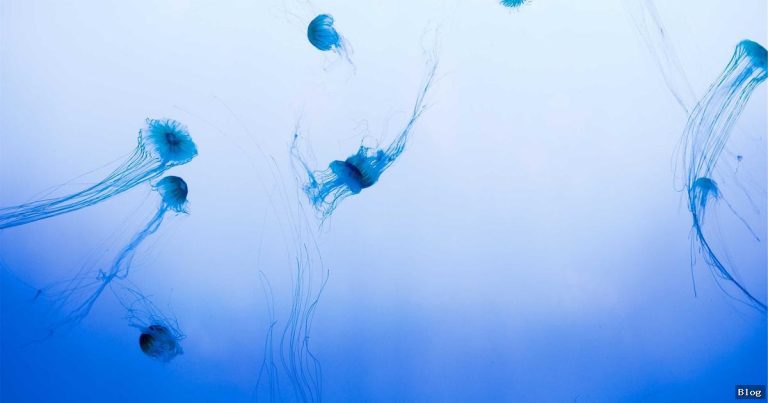 Gündem Haberleri: Türkiye’nin En Önemli Gelişmeleri