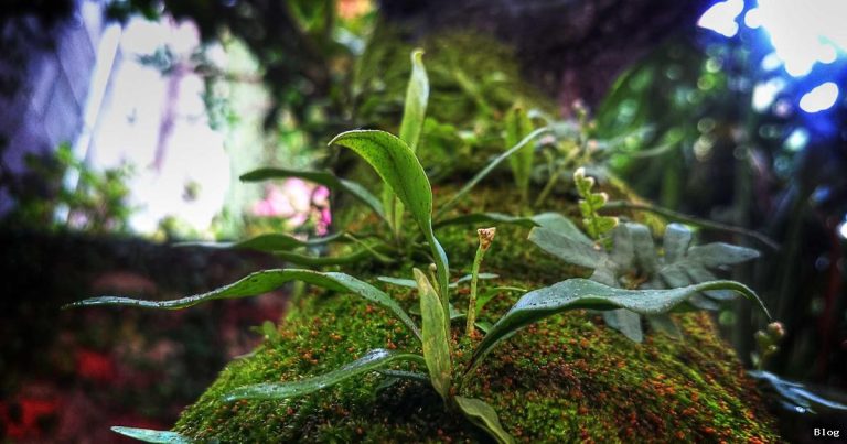 Gündemde Olan Konular: Bugün Ve Yarın