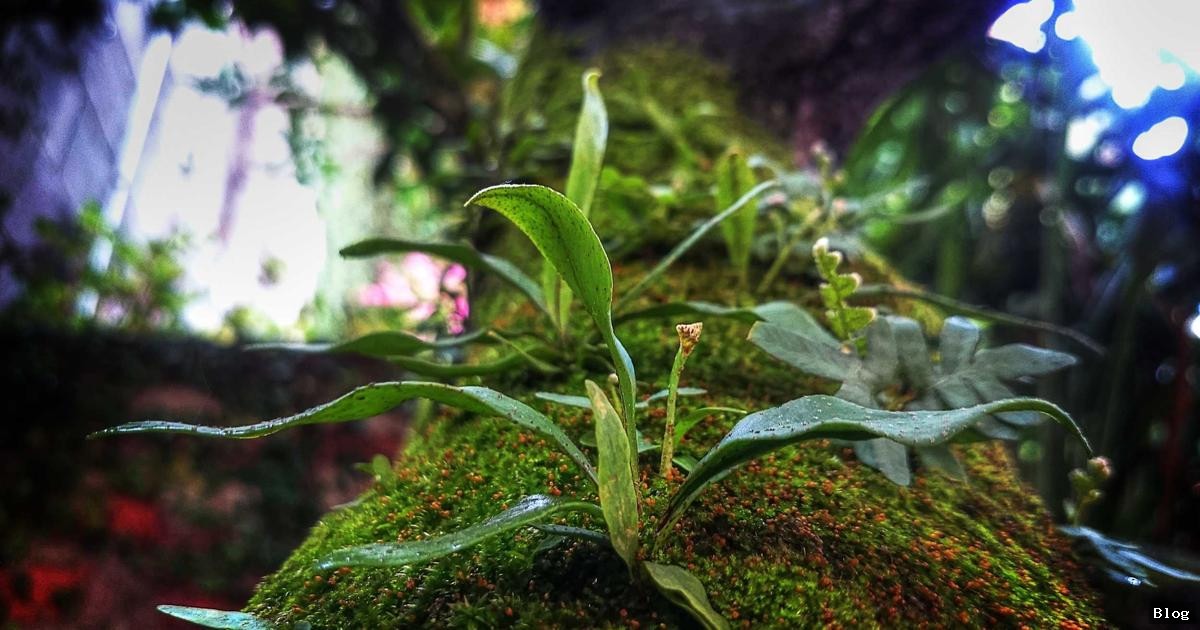 Gündemde Olan Konular