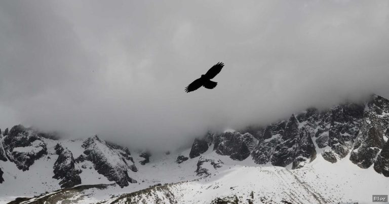 Gündemhaberleri Ne Demek?