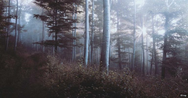 Gündemkonuları Ve İnsanların Farklı Algıları