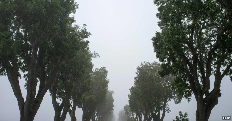 Kadın Sorunları: Türkiye’de Kadınların Yaşadıkları Sorunlar Ve Çözüm Önerileri