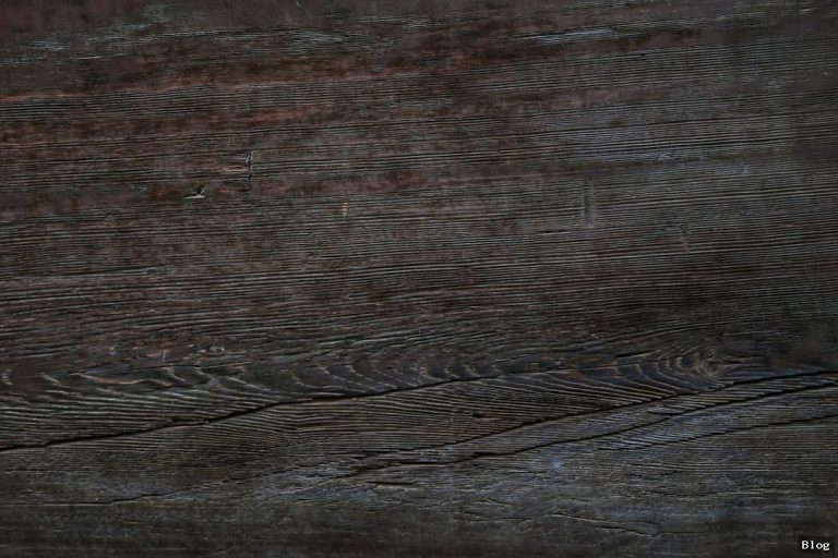 Kadın Ebeveynlerine Yönelik Dayanışma Ve Destek