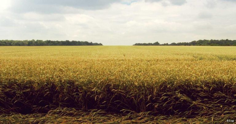 Teknolojik Gelişmeler Ve Ekonomi: Bir İlişkinin Analizi