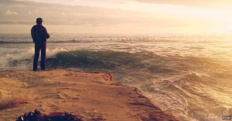Kadınlar, Modern Toplumda Önemli Bir Rol Oynamaktadır Ve Bu Role Uygun Olarak Farklı Alanlarda Aktif