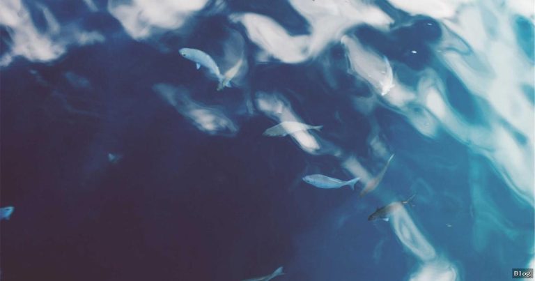 Kadın Cihazları Ve Teknolojik Gelişmeler