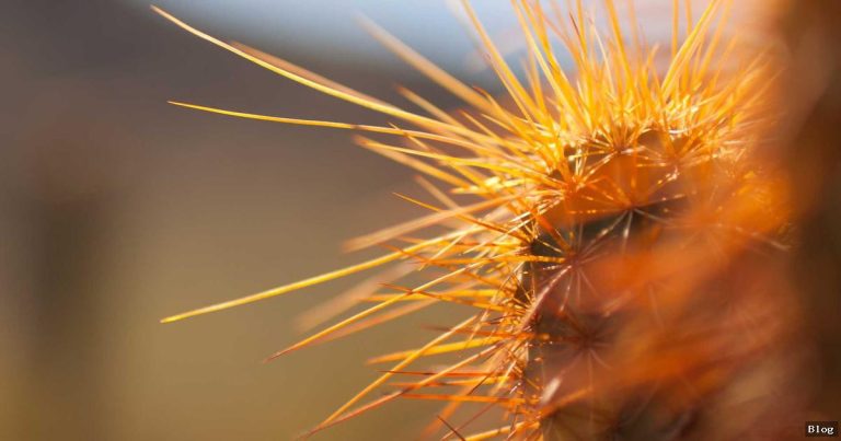 Teknoloji Gelişmeleri: Geleceğe Bir Bakış